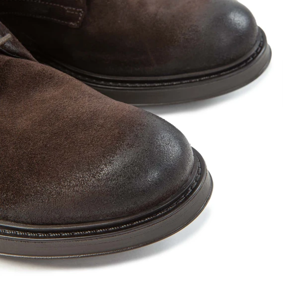 anfibi passanti testa di moro